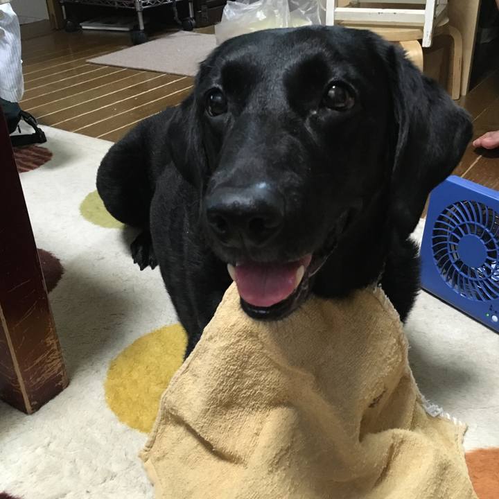 0a6e046d c737 4f06 9bbd c5872ed41004