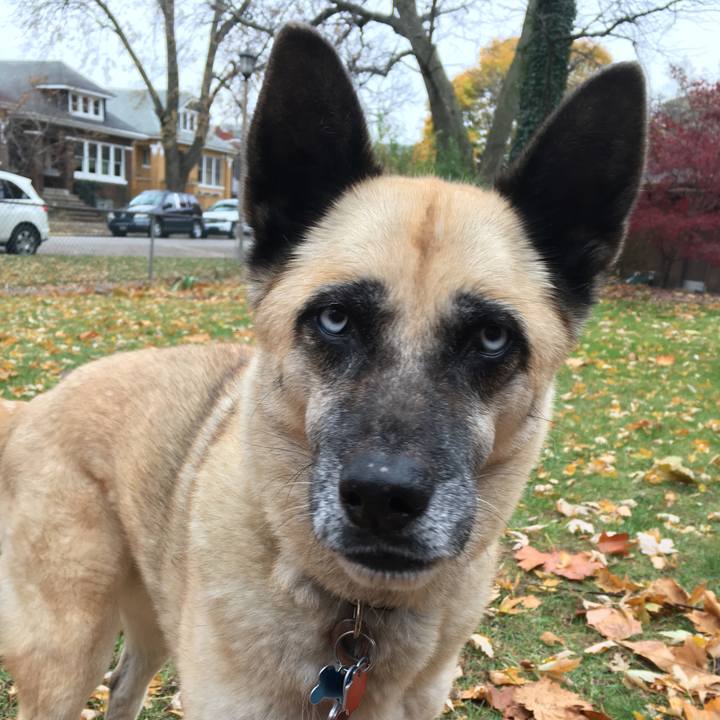 0a6e28cb 51b3 43f0 bda3 063e21ef40e6