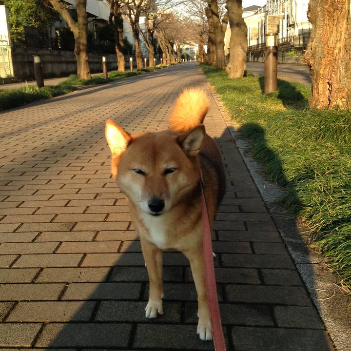 0a6e9fd0 34a4 4f69 82cb 62deafcfb998