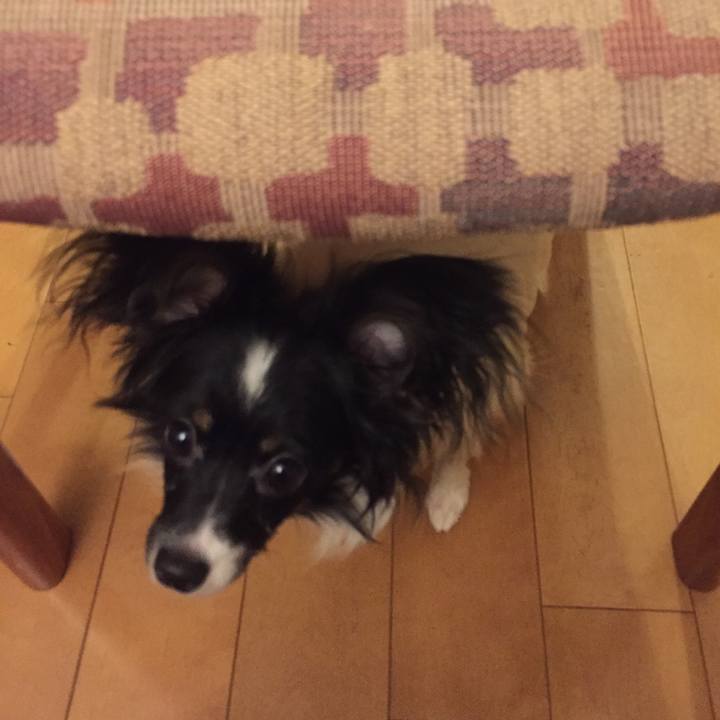 0a6fcde4 c569 4620 a411 66b8698a82bf