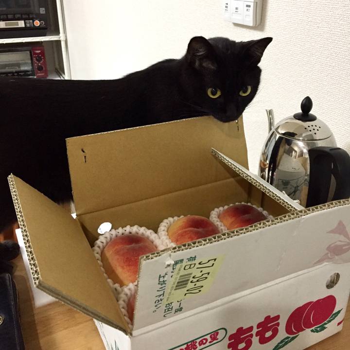 0a701c73 de35 4d34 865d 50171d3e7463