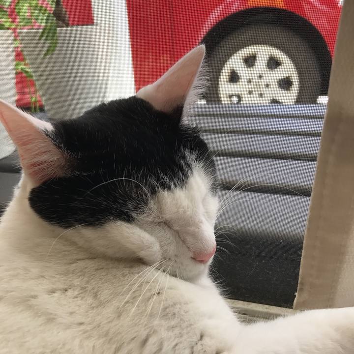 0a70278c ea5a 47a5 ab8d 153e770d7cd4