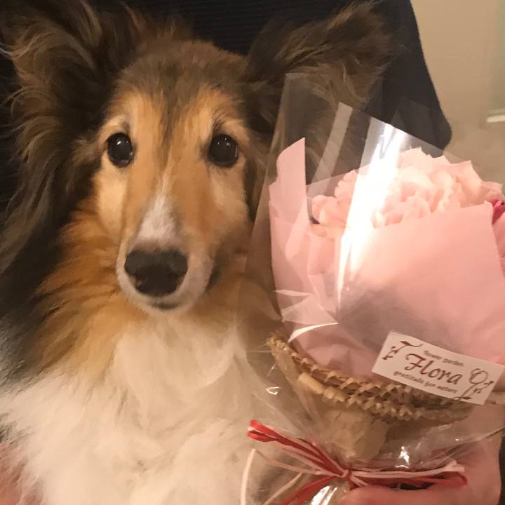 0a70677e 7df0 4753 ae9e 1da23de5df53