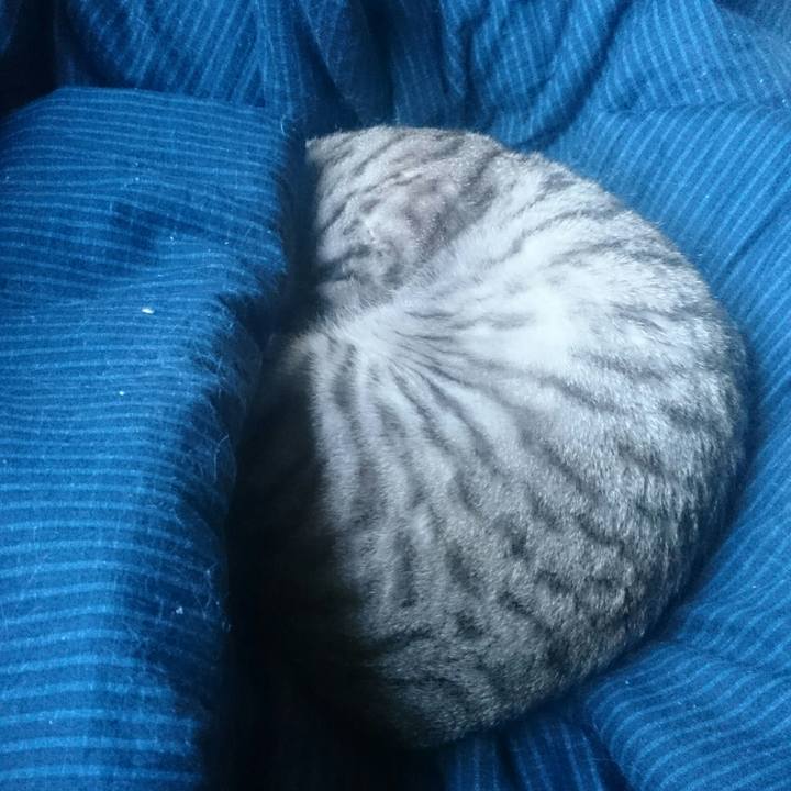 0a729f16 db4f 4581 b3cb 871d305c18f1