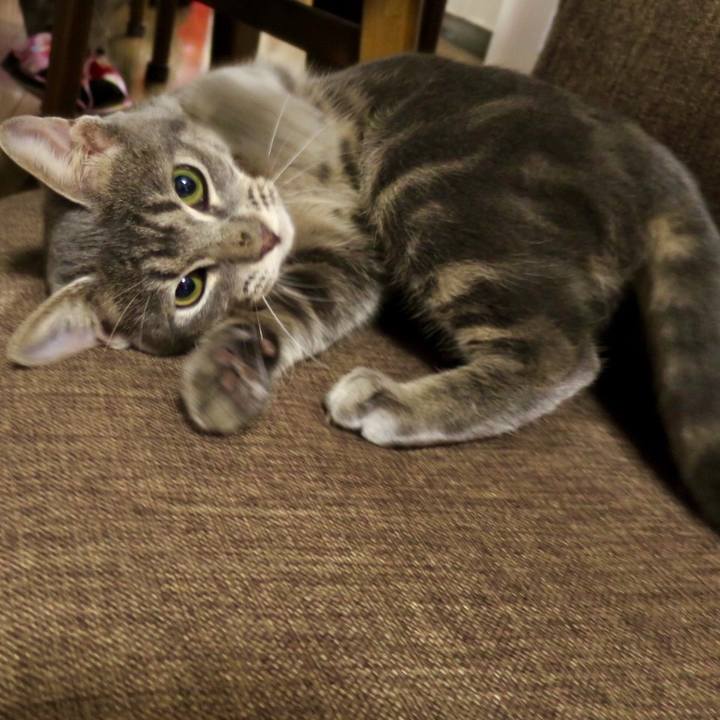 0a72d92f ee23 4d5f 93fa 313d24a898cd