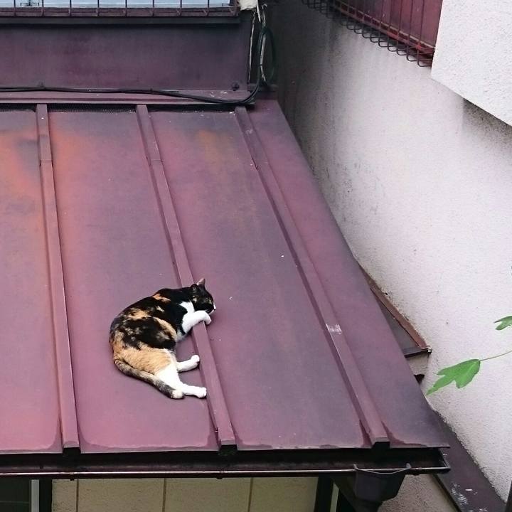 0a738e34 8c83 41a2 a22a e9337a5ec282