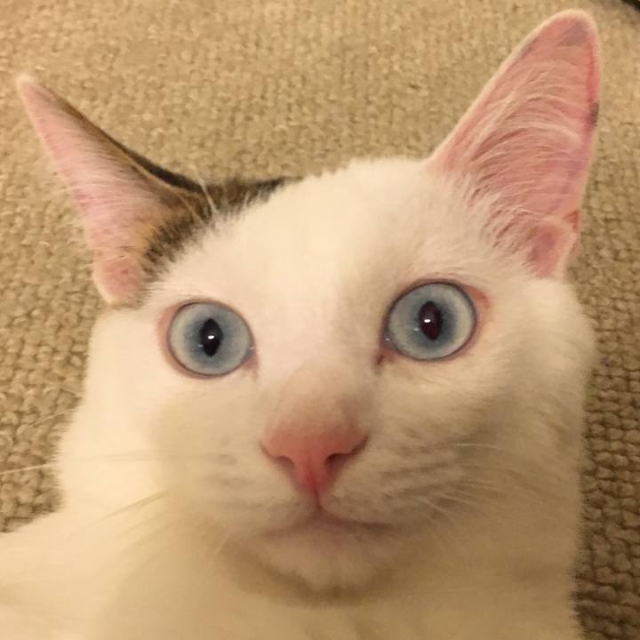 0a73fbe7 22f4 4358 b159 41551877765b