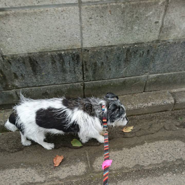 0a747bf7 39e0 42e2 89de 6a02adb0c48e