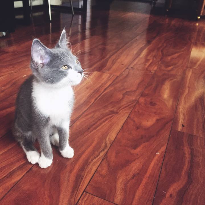 0a75adc3 49ab 46e6 b6a1 24376b08a4e8