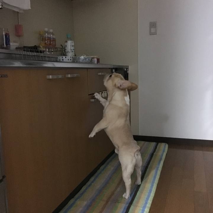 0a75f778 0630 498f 8c6d 8c63f3922046