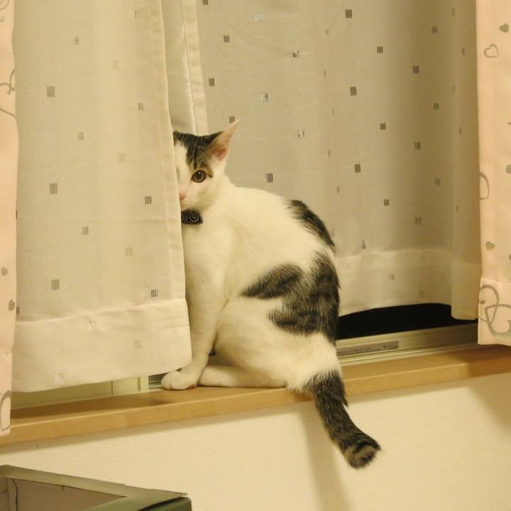 0a75fafc 5335 4ddc 9e71 7183807d9fca