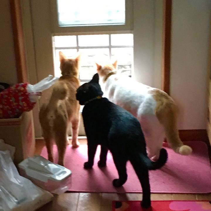 0a7689f9 5594 4d5c 8b10 bdcabedf2bb2