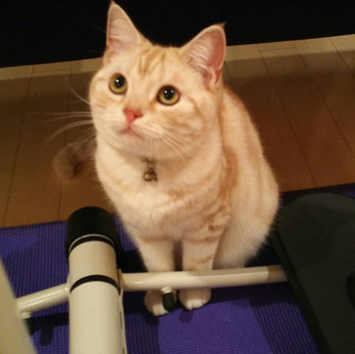 0a773b56 0a44 4306 a148 651e5de9bef9