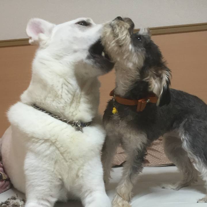 0a77ae1d cd31 4322 a3ae d27942e273ce