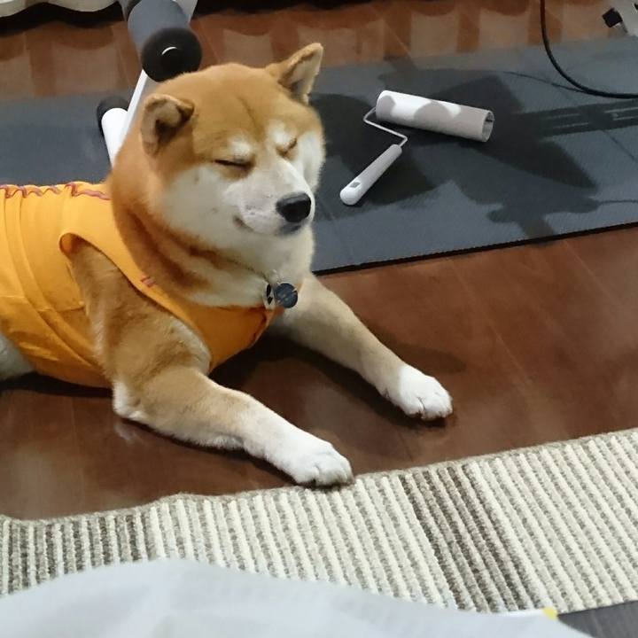 0a783281 5d92 42dc 9e54 cd0f888eb39d