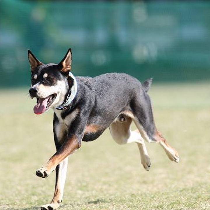 0a783407 30fa 4159 b2f1 8acbf689401f