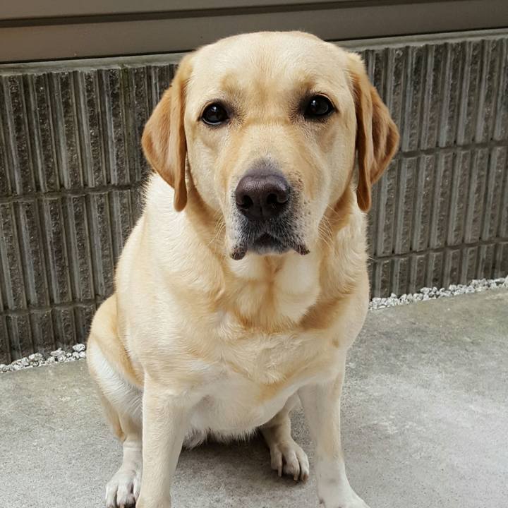 0a7842ca b4b5 473a 96b0 079b6c2275d2