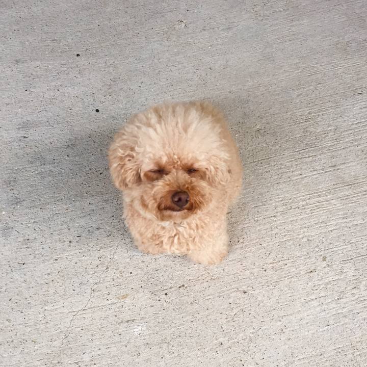 0a78665c a1c5 4a8a a87a 53e4980770a0