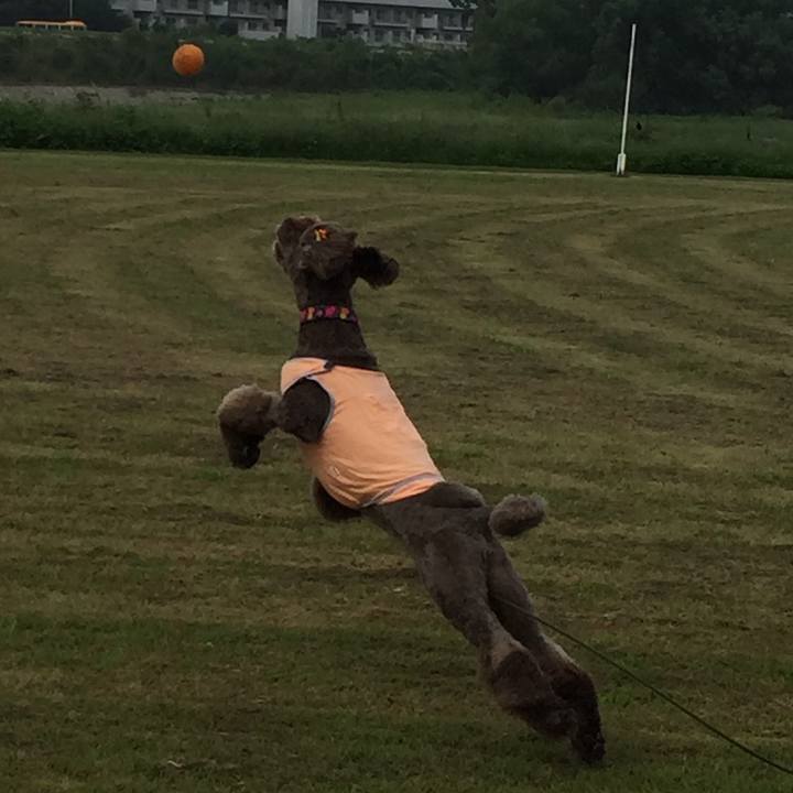 0a789b72 edb0 48d6 913d ad0d31649af0