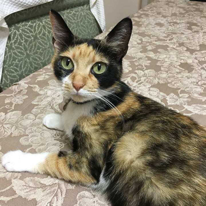 0a7a13c2 ed6b 416a 8ec3 e7f1728b9dbd