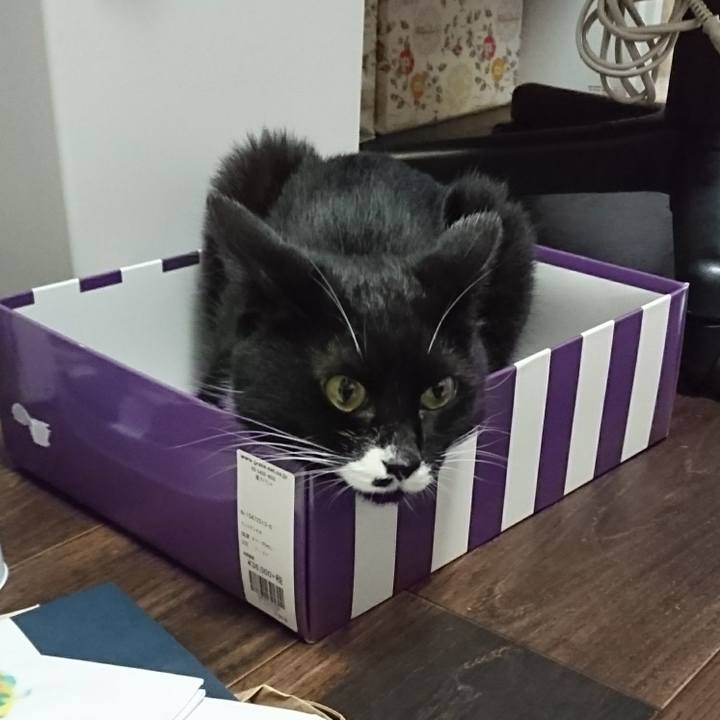 0a7a18d0 ed35 41d3 a5fc fdbf1b2fcd28