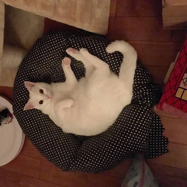 0a7a328d 686d 48a5 800f d3fcead6faae