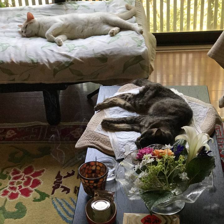 0a7a57fa 79fc 480d bd2a 2c71fcf5ec79