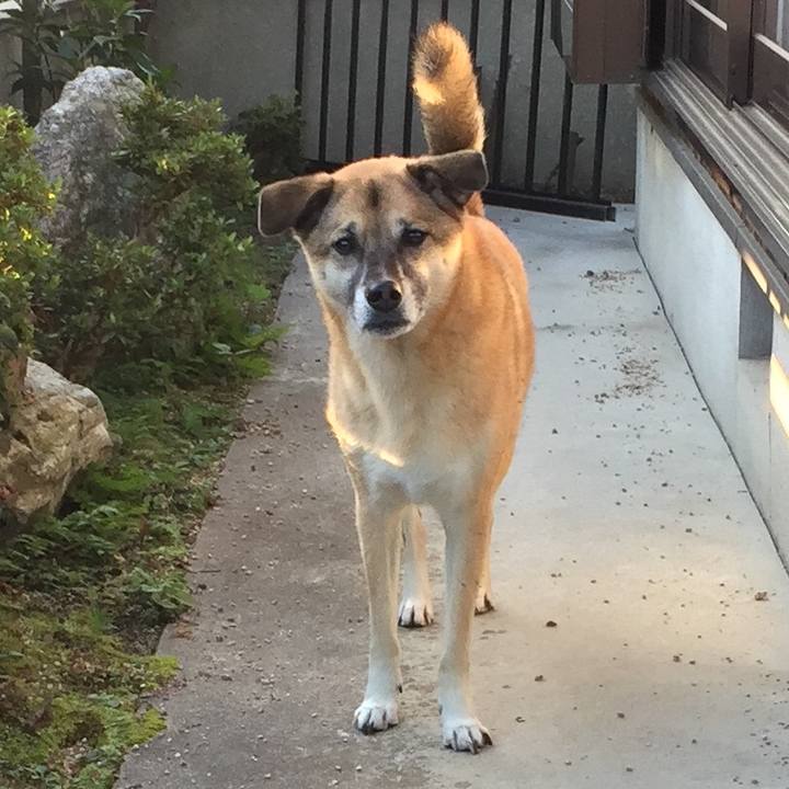 0a7b32f1 9692 411a 9fe2 4d38c0644603