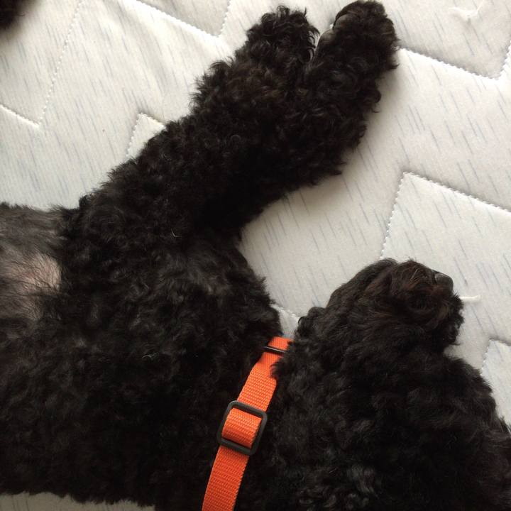 0a7b6ff9 b202 4b9b 8d5c 74acd1ffd31a