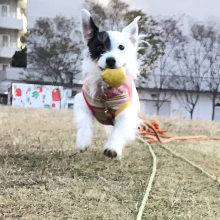 0a7b9f56 e701 4d99 8070 325309acf04c