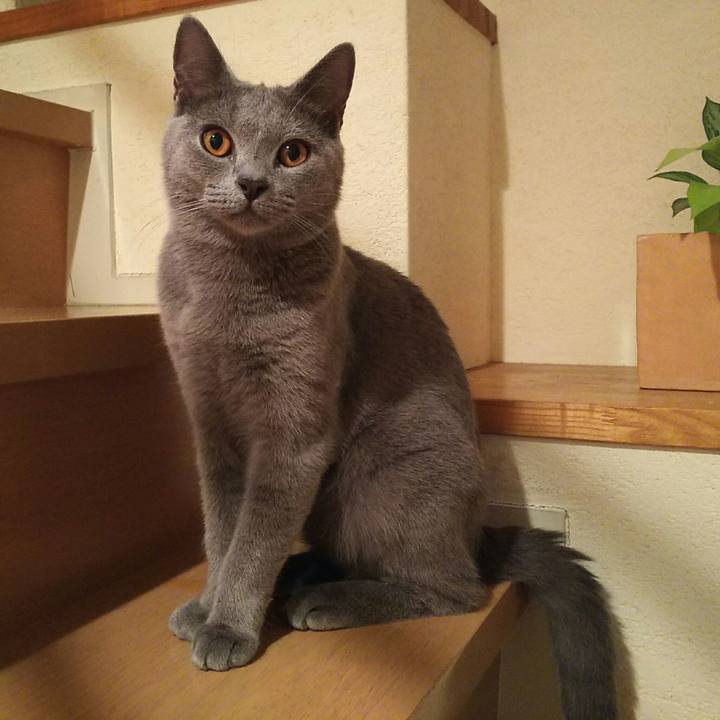 0a7bebb0 65cd 47e8 b088 21d96557276d