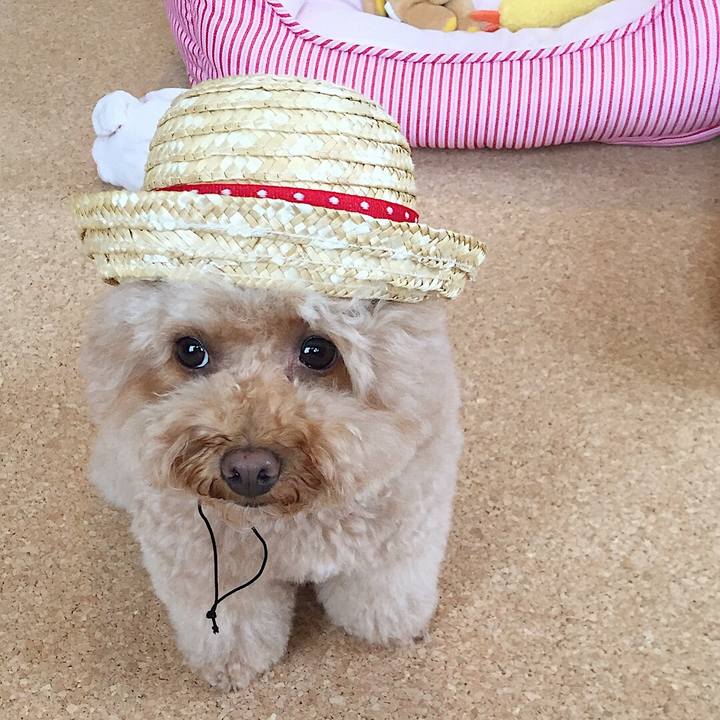 0a7c097b c352 4150 a851 67c3f5730783