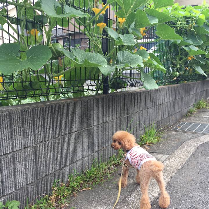 0a7c3f52 2d70 4859 9adb ae508b0b0310