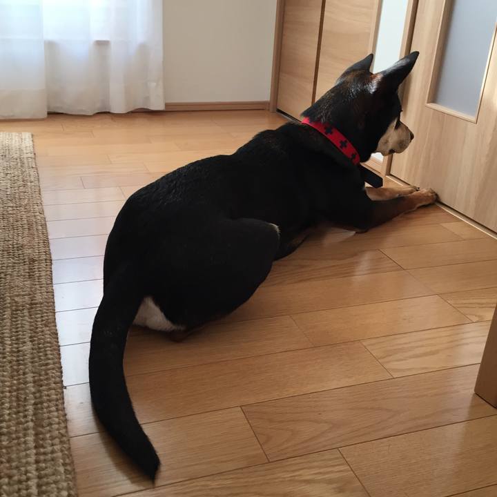 0a7c5b44 cbd7 478e 9014 abcefafce9c4