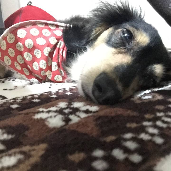 0a7c877b 0b2f 49ca 98f9 3a80d78b1657