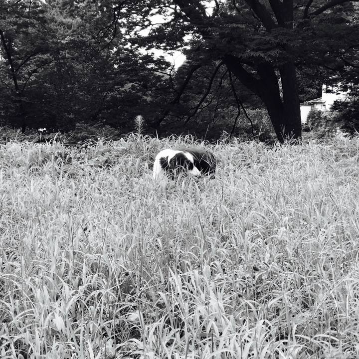 0a7cb766 a4d4 4822 b783 d02a61a2fe0a