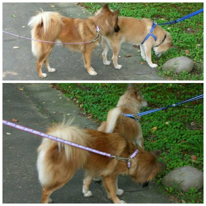 0a7cde77 8b1a 4532 ac57 e62dffb72679