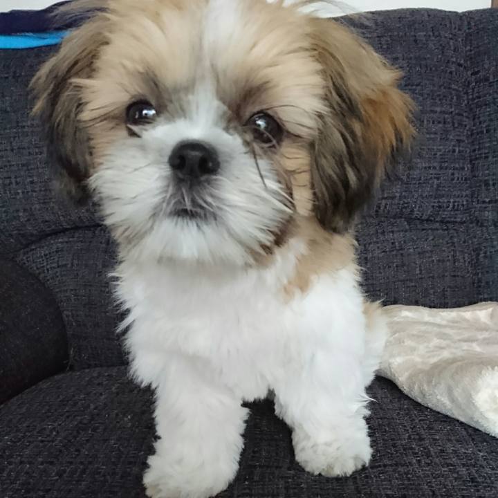 0a7cee41 9d5b 45cc bbb0 d4b722f36adc