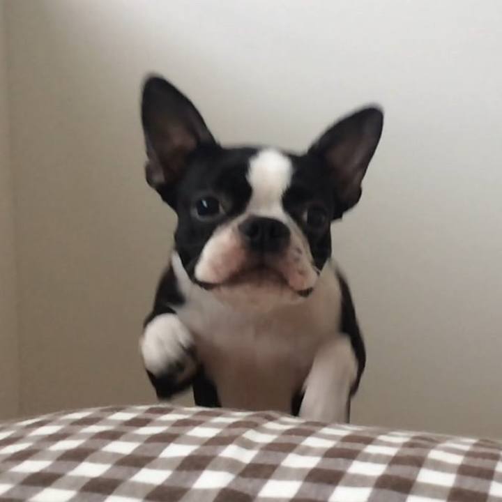 0a7d08ae 30c9 4a47 8ea8 3d6a8575a5d7