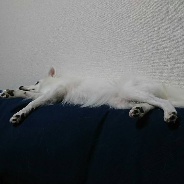 0a7d2640 457d 49fa b1d9 69e08a494152