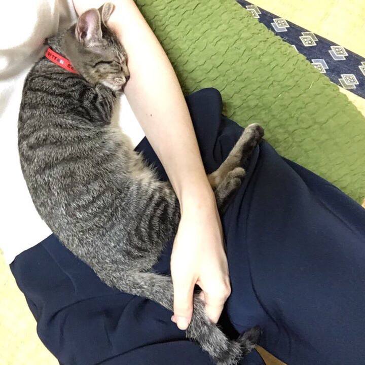 0a7d740b 1d1d 4ef3 a422 54e2f45709f9