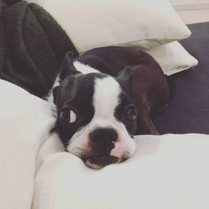 0a7d8fc0 60a2 4ce3 80e0 2bc4778fccea