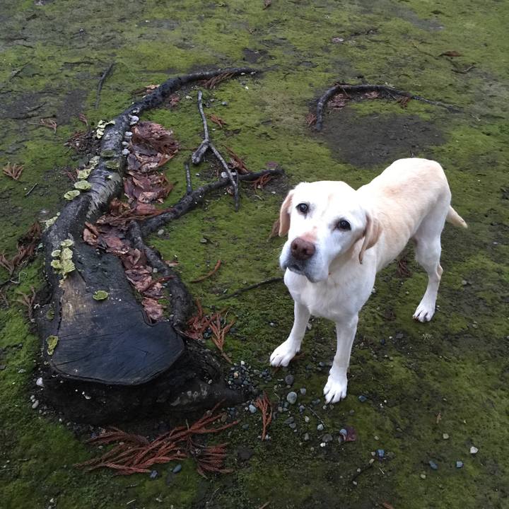 0a7ef3c4 08a6 4f8e 8a2c 6ee5431d8cd8