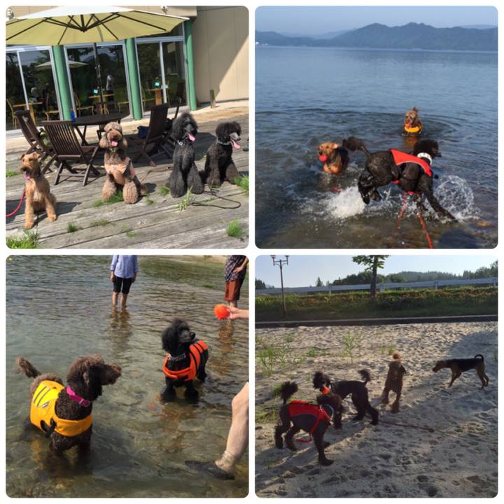 0a7f16c8 4c35 4a33 88f5 3592db3a2a64