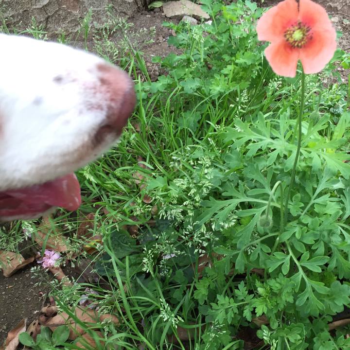 0a7fb97a 1afb 4414 957a a47d70414dd5