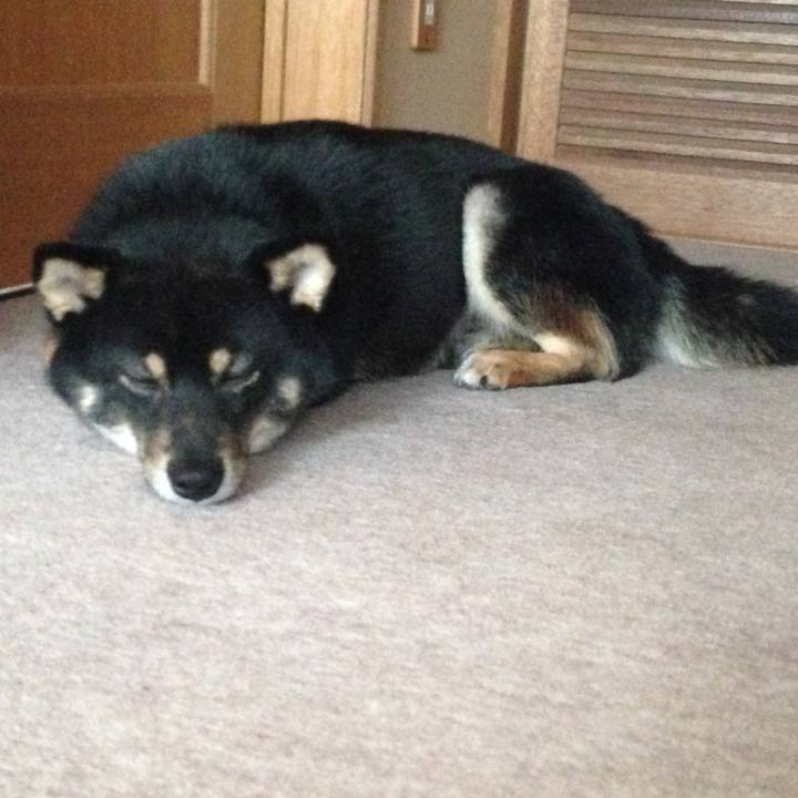 0a8157a1 e072 4857 98d9 ddd3d4582392