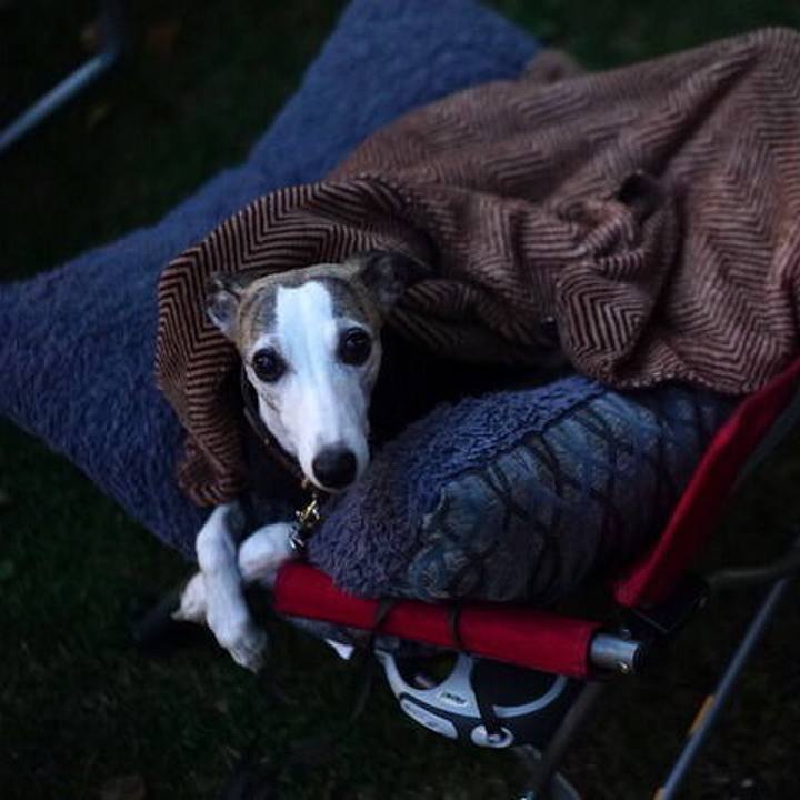 0a820013 99c5 4bac b2be fb633717af19