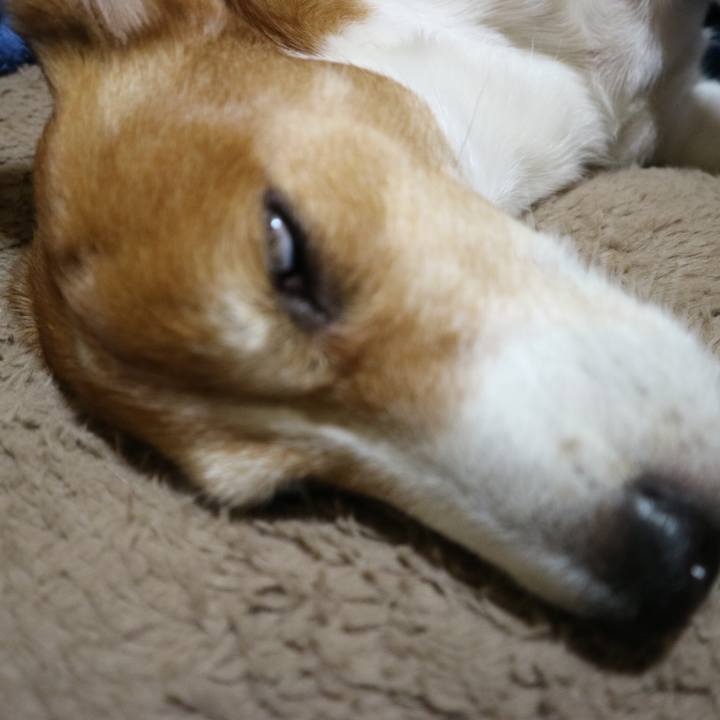 0a8242ed 3dc9 4834 9786 0b3976808690