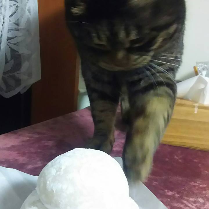 0a825482 d6e4 4c57 b854 1cd6750d462e