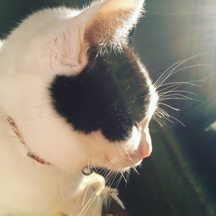 0a825e76 4775 4ac2 93ea 08a9da1e0761